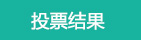 投票结果