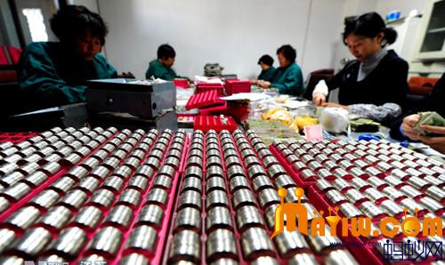 太仓市公交公司结算中心点钞员清点货币