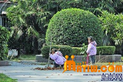 3岁双胞胎姐妹帮清洁工奶奶扫马路引关注