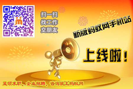 蚂蚁网手机站上线